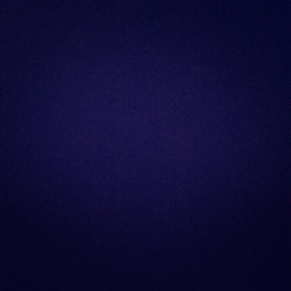 Dog xx12 - Picture 1 of 1